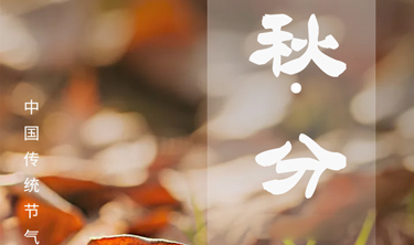 首页- 云顶国际集团官方网站